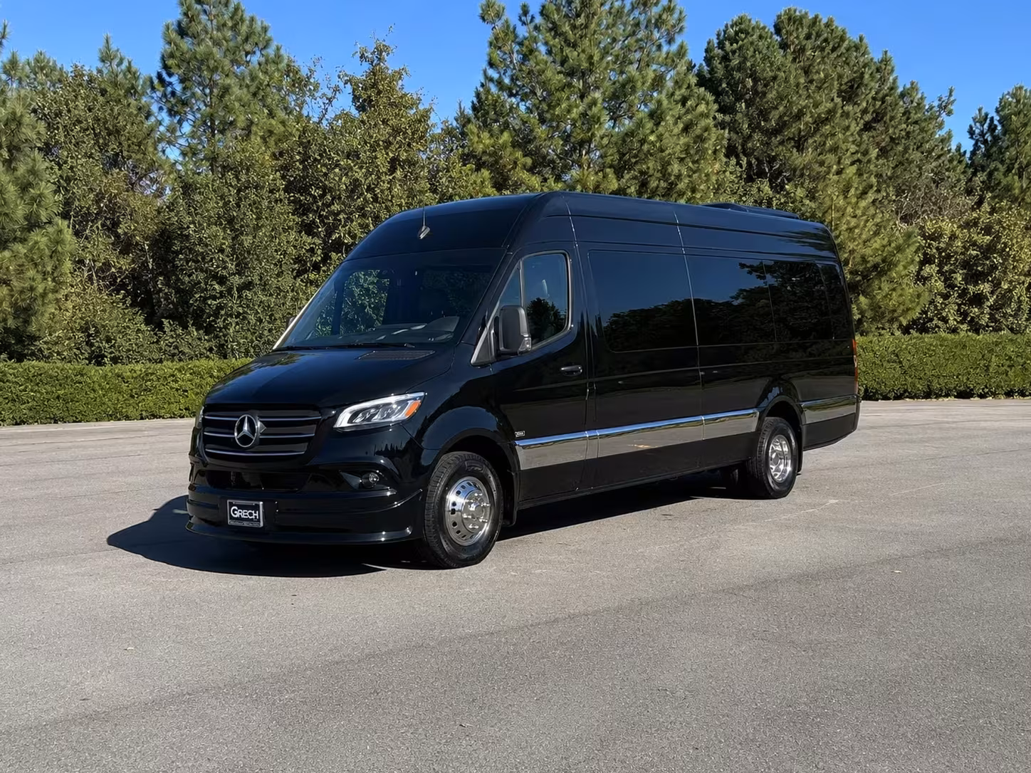 sprinter van with driver